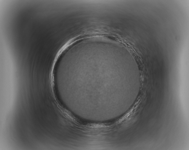 X0000116100246200911301108