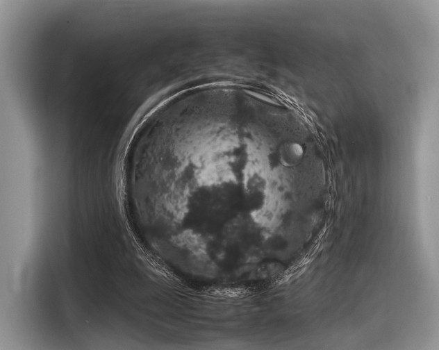 X0000116100247200911301108