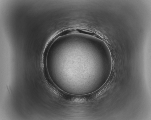 X0000116100248200911301108