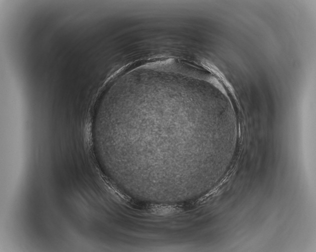 X0000116100249200911301108