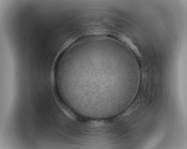 X0000116100250200911301108