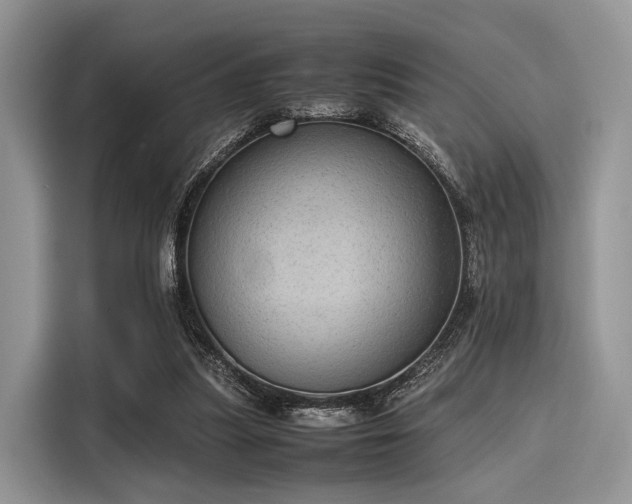 X0000116100251200911301108