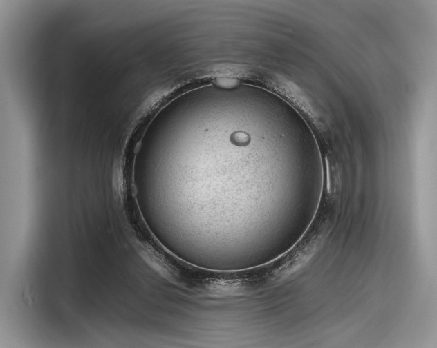 X0000116100252200911301108