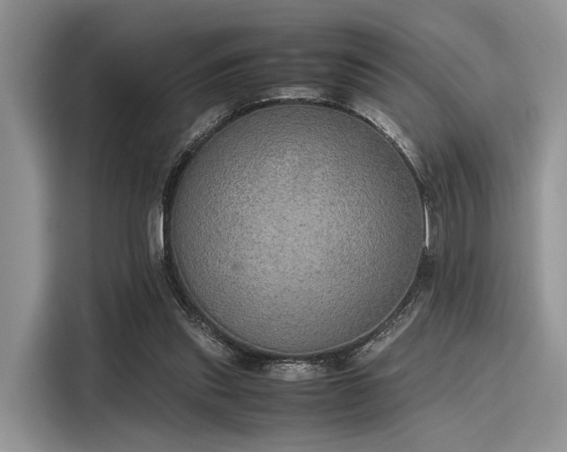 X0000116100253200911301108