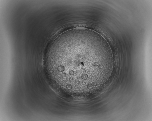 X0000116100255200911301108