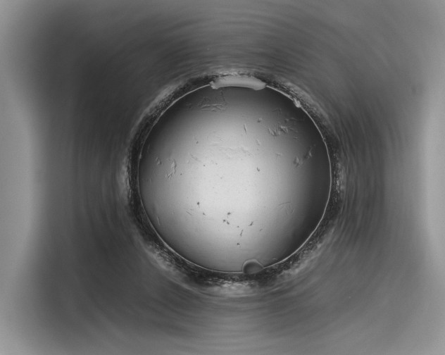 X0000116100256200911301108