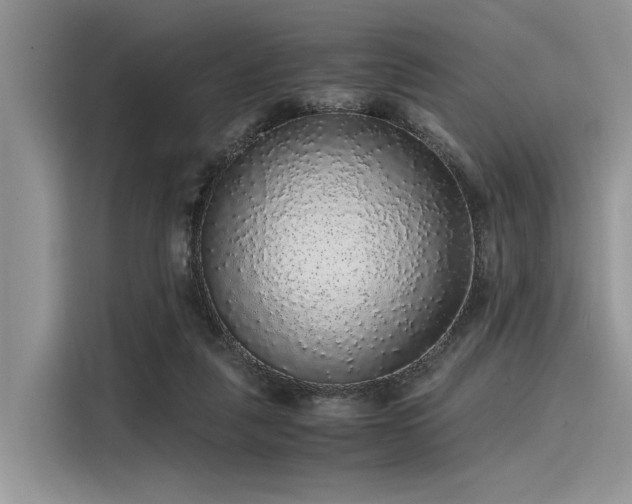 X0000116100259200911301108