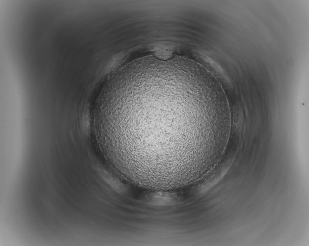 X0000116100261200911301108