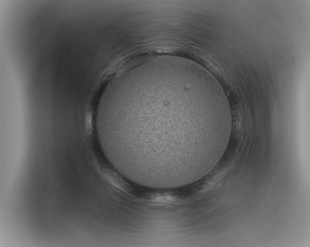 X0000116100262200911301108