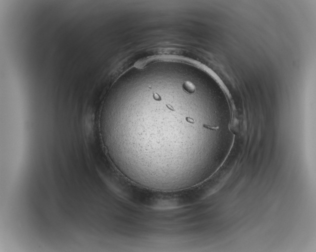 X0000116100263200911301108