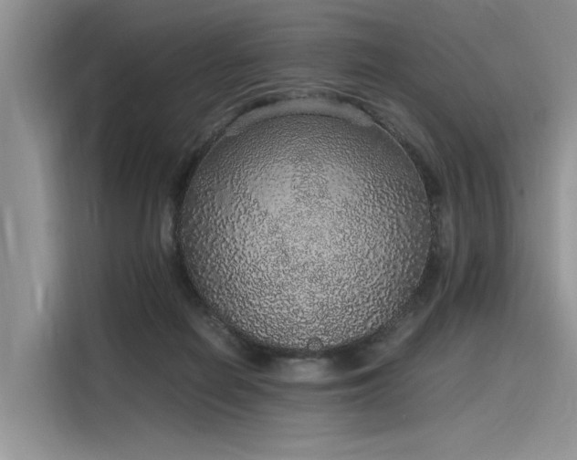 X0000116100266200911301108