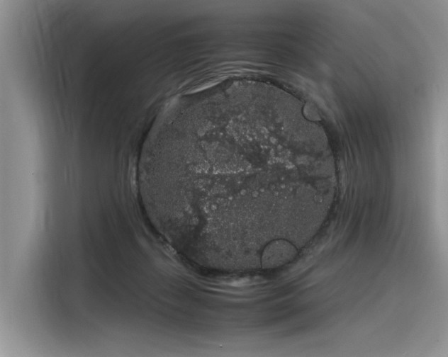 X0000116100267200911301108