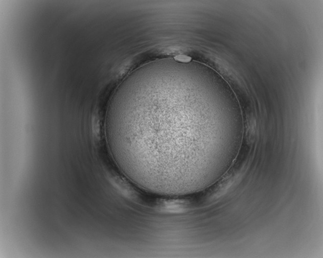 X0000116100268200911301108