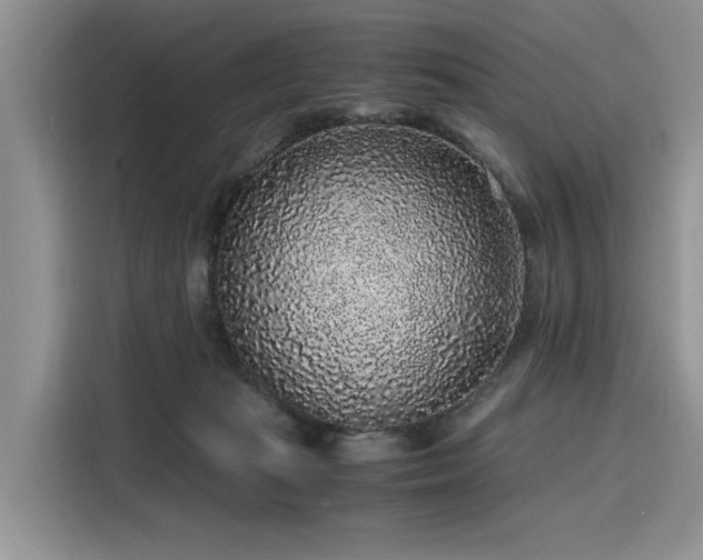 X0000116100269200911301108