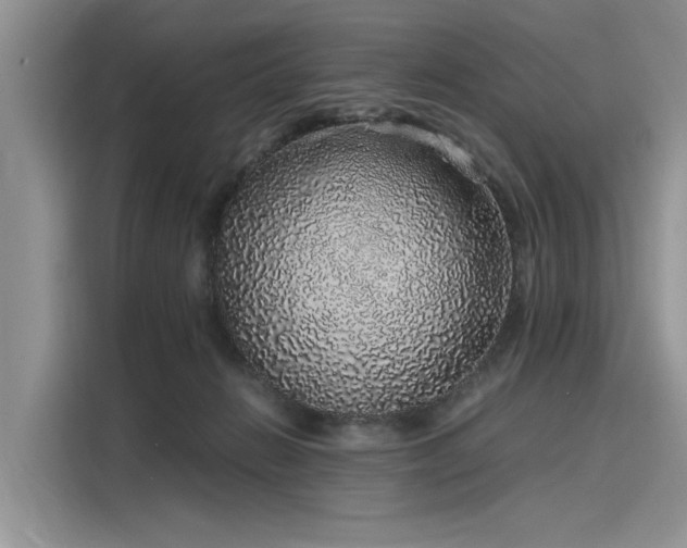 X0000116100270200911301109