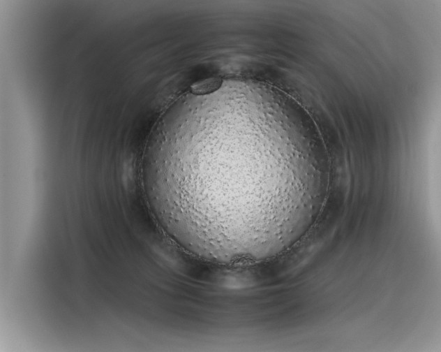 X0000116100275200911301109