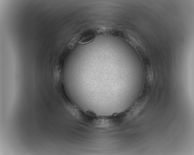 X0000116100276200911301109