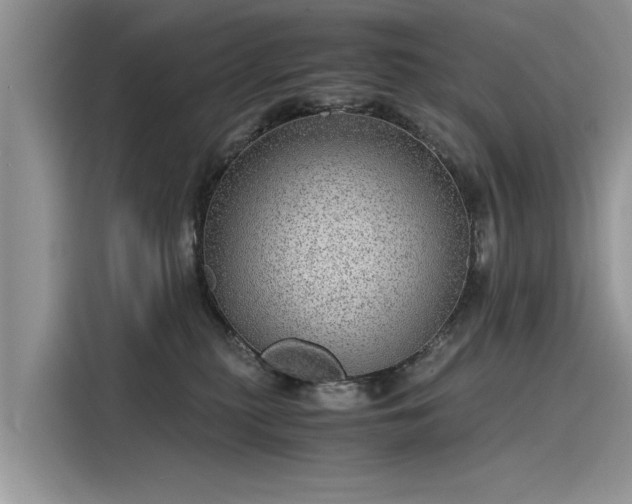 X0000116100279200911301109