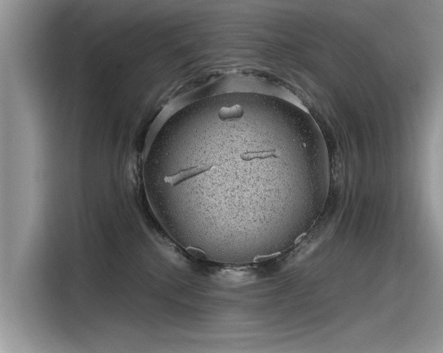 X0000116100280200911301109