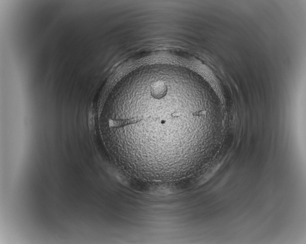 X0000116100282200911301109