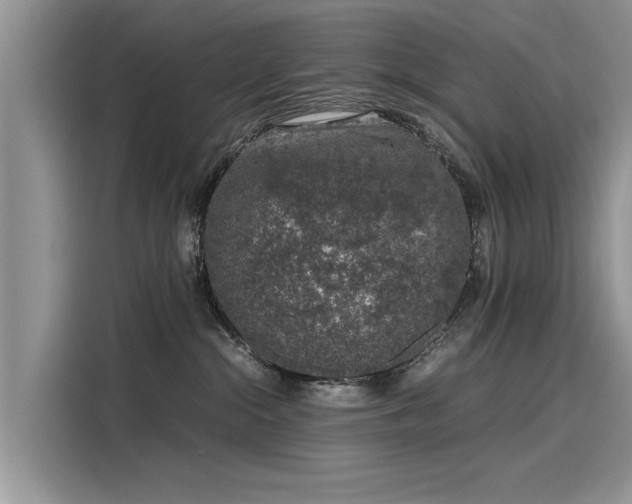 X0000116100284200911301109