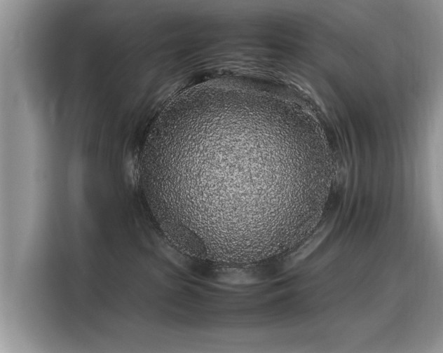 X0000116100285200911301109