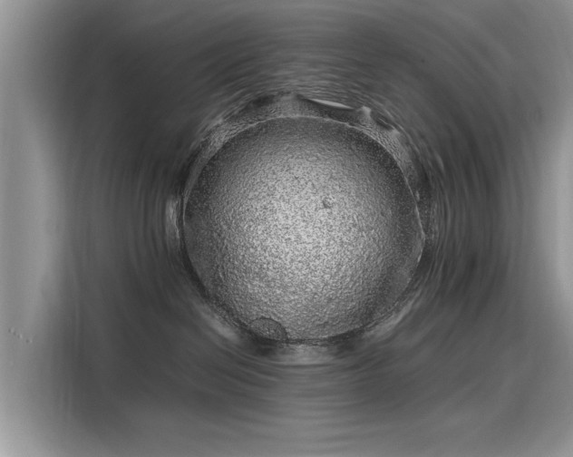 X0000116100286200911301109