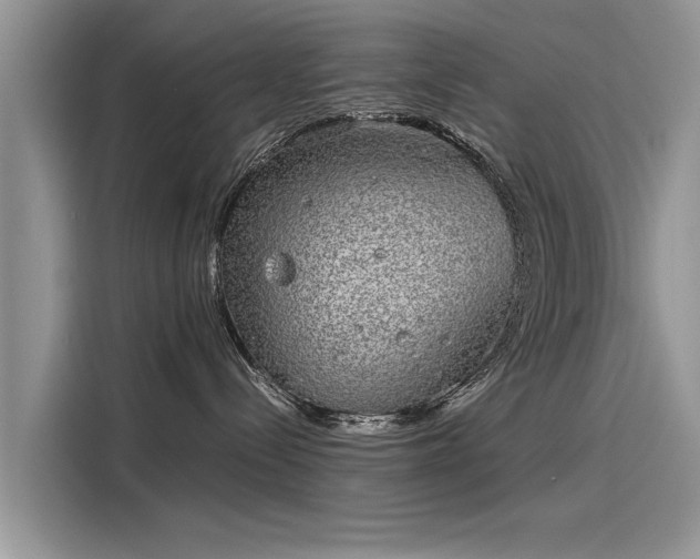 X0000116100288200911301109