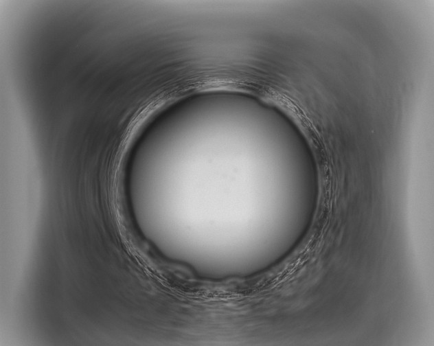 X0000116100289200911301108