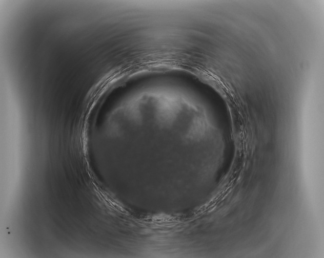 X0000116100290200911301108