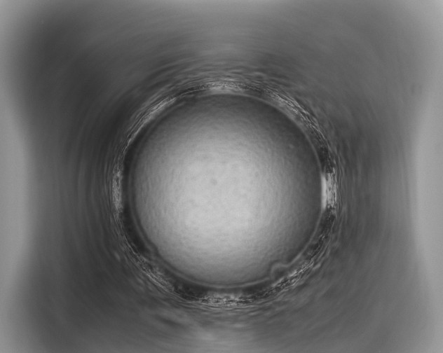 X0000116100291200911301108