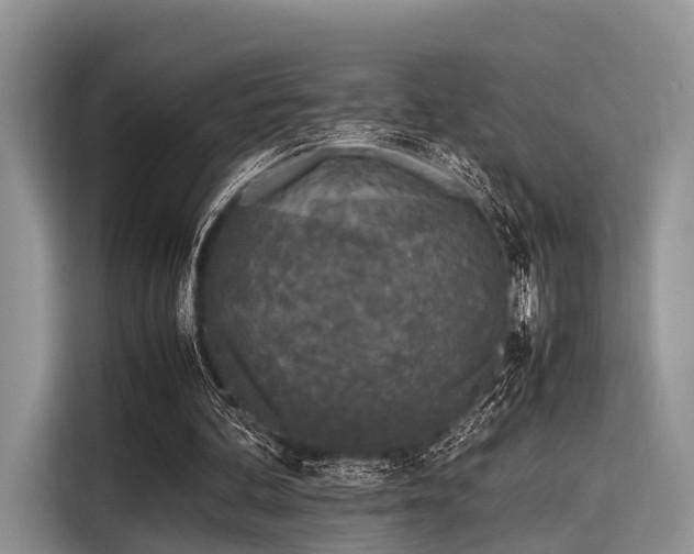 X0000116100292200911301108