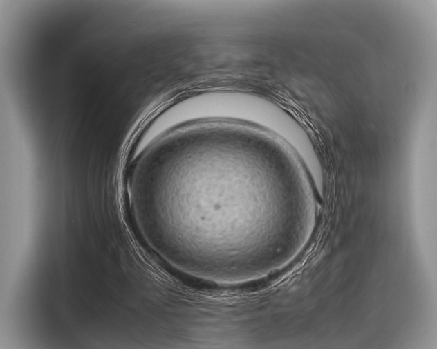 X0000116100293200911301108