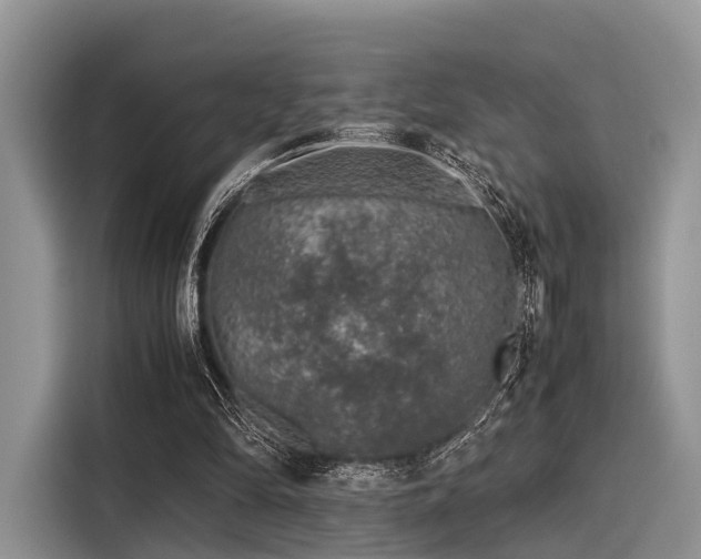 X0000116100294200911301108