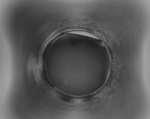 X0000116100295200911301108