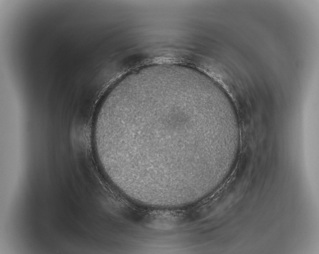 X0000116100297200911301108