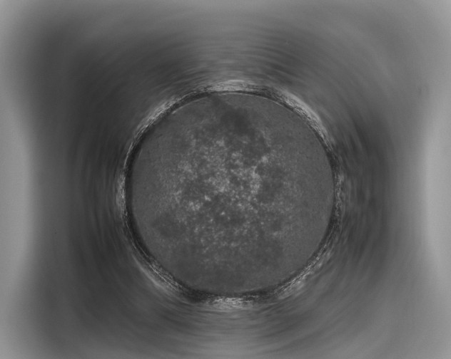 X0000116100298200911301108