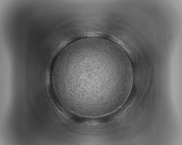 X0000116100299200911301108