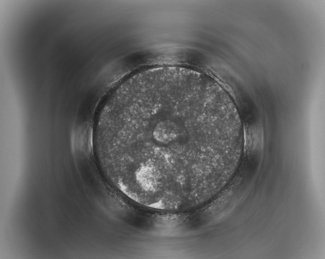 X0000116100301200911301108