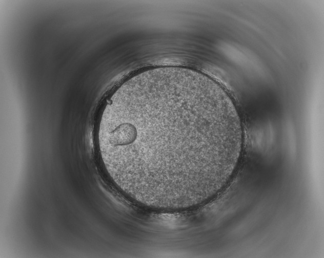 X0000116100302200911301108