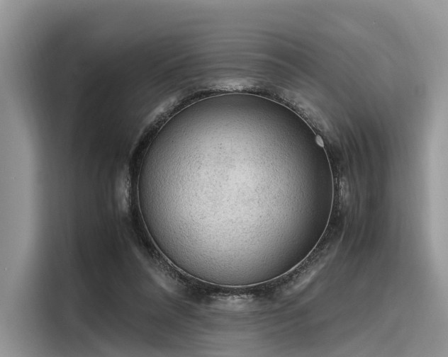 X0000116100304200911301108