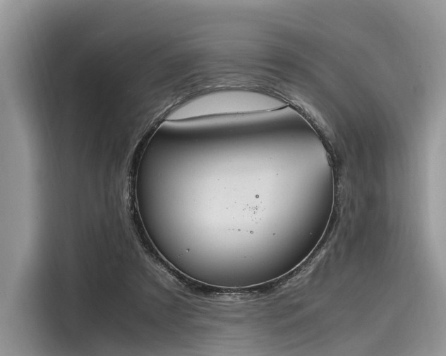 X0000116100305200911301108