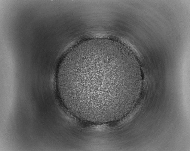 X0000116100306200911301108