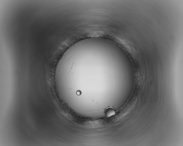 X0000116100307200911301108