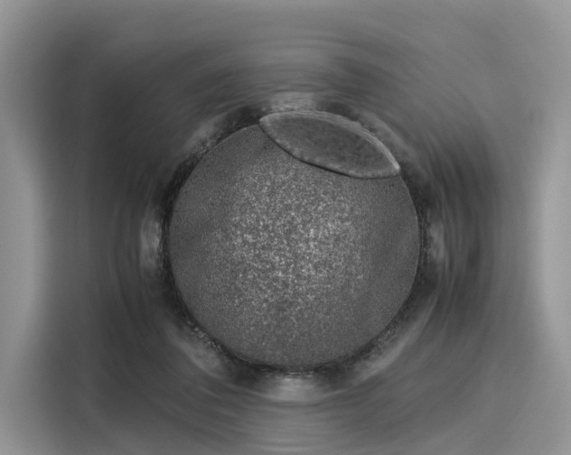 X0000116100308200911301108