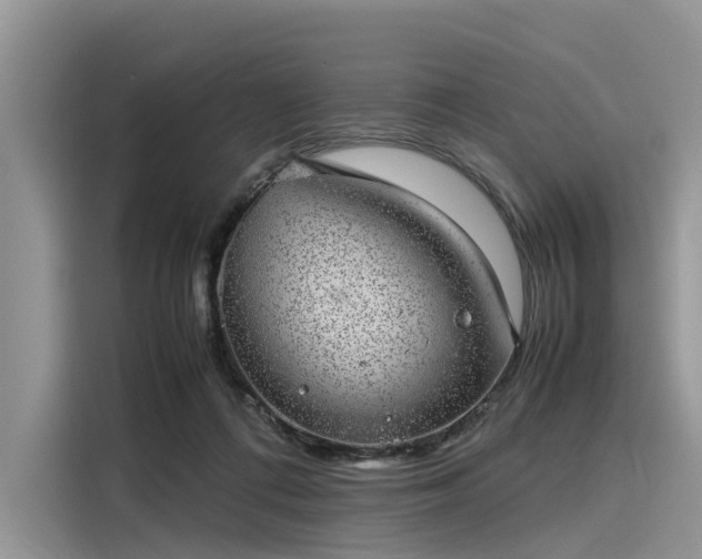 X0000116100312200911301108