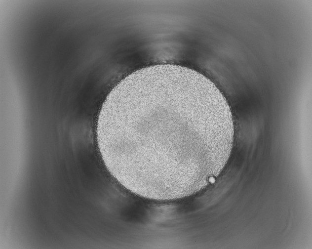 X0000116100313200911301108