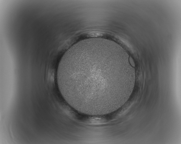 X0000116100315200911301108