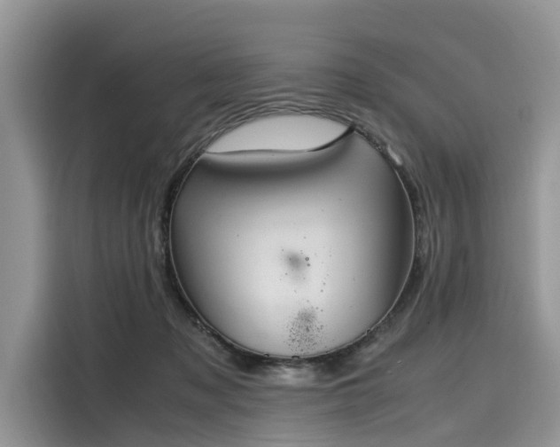 X0000116100317200911301108