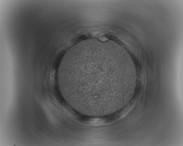 X0000116100319200911301108